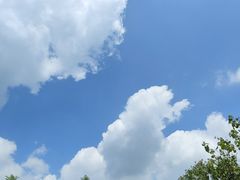 -桤木河湿地公园