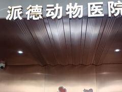 -pd派德宠物中心医院24H急重症·眼科中心·血液透析中心(嵩山北路店)