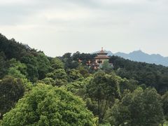 -铁山坪森林公园