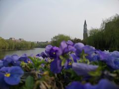 -华东政法大学(松江校区)