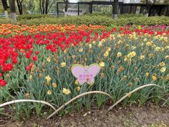 -玄武湖景区-情侣园游乐场