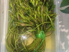 -花菇朵 ll 野生菌锅·精品滇菜(后沙峪店)