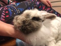 -雨林宠物医院 非犬猫异宠专科