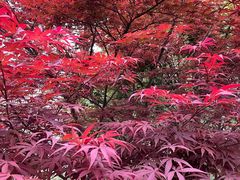 -苏州河梦清园环保主题公园