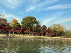 -苏州古运河游船(新市桥码头)