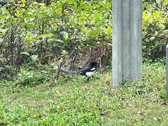 -清晖小苑•顺德地方菜(壹海城店)