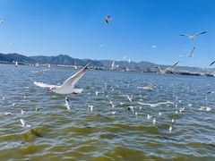 -滇池海埂公园