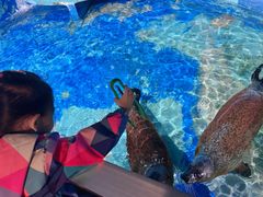 -太平洋海底世界