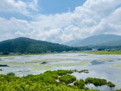 -腾冲北海湿地