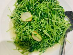 清炒豌豆苗-臻悦海宴.家宴(奥体中心店)