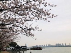 -无锡蠡湖国家湿地公园-蠡园