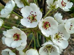 -兰陵国家农业公园