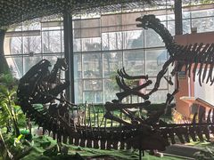 -诸城市恐龙博物馆