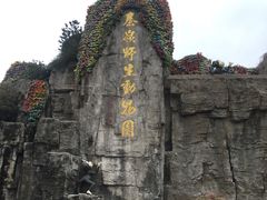 -西安秦岭野生动物园