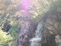 -定园