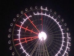 -琴岛之星摩天轮