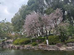 -昆山城市公园