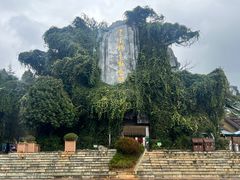 -云南野生动物园