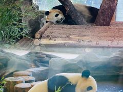 -云南野生动物园
