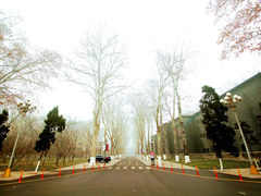 -山东大学(洪家楼校区)