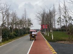 -上海长兴岛郊野公园