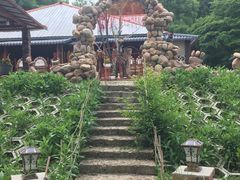-香炉山国家森林公园
