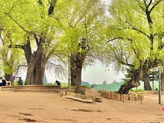 -长春市南湖公园