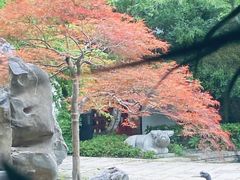 -广富林宰相府酒店·水云间