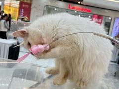-万达广场(北京槐房店)