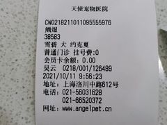 -瑞派天使宠物医院·神经外科·骨科·核磁(洛川中路店)