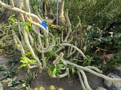 -南山植物园