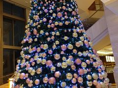 -新发展亚太JW万豪酒店·福苑咖啡厅