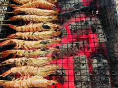 -小象钓虾·营地烧烤(洛溪店)