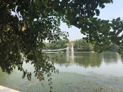 -东湖落雁景区