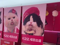 -K22.酸奶草莓(烟台芝罘店)