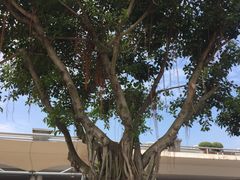 -福州长乐国际机场