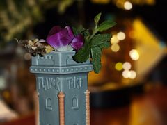 -TIKI鸡尾酒威士忌吧(二横路店)