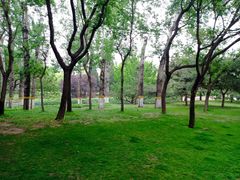 -元大都城垣遗址公园