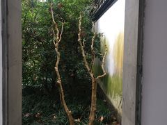 -郭庄茶室