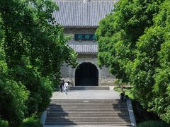 -灵谷景区