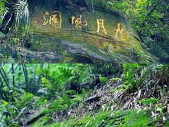 -沐川竹海旅游景区