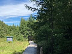 -苏木山森林公园