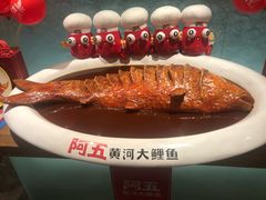 -阿五黄河大鲤鱼(英协路店)