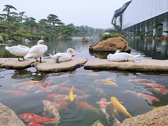 -罗红摄影艺术馆