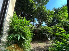 -熊猫自助餐厅.萌趣城堡(长隆熊猫酒店)