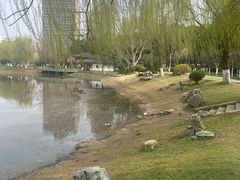 -堤角公园