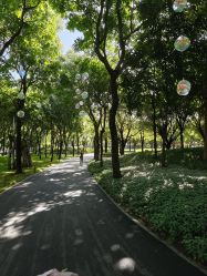 -广州市儿童公园