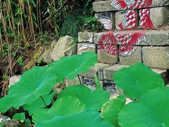 -樂桃源奉贤黄桃种植采摘基地