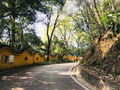 -三门江国家森林公园