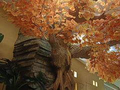 -君邦火锅(新疆大厦店)